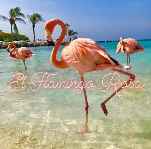 別荘 El Flamingo Rosa Cod Iun P5386 *