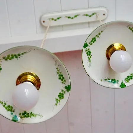 El Flamingo Rosa Cod Iun P5386